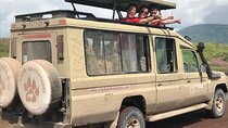 4-Days Adventure Camping Safari to Tarangire, Serengeti & Ngorongoro