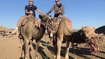 Full Day Super Safari ATV Quad, Camel Ride, Dinner and Show