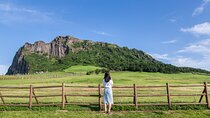 Full-day Customizable Private Jeju Island Tour