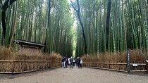 Kyoto Private Customizable Day Trip With English chauffeur