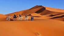 3-Day Sahara Desert Tour From Marrakech To Merzouga 