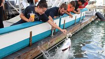 Giant Tarpon Fish Feeding Experience in Bayside Marketplace