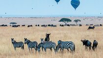 Luxury 5 Days - Manyara, Serengeti, Ngorongoro & Tarangire Safari