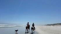 Beach Horse Ride in Yzerfontein, Western Cape