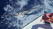 6 Hour Private Fishing Charter Kona, Hawaii