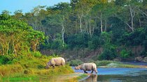 Chitwan Jungle Safari 2N3Day All-Inclusive Package from Kathmandu