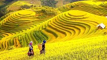 Customized 14 Days Vietnam Tour with History Culture and Nature
