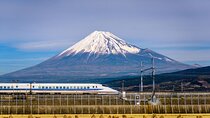 Mount Fuji and Hakone Customize Private Day Tour with Driver