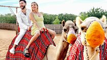 VIP Desert Safari Dubai with Live Shows & BBQ Dinner Camel Ride
