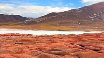 Red Stones, Altiplanic Lagoons and the Atacama Salt Flat