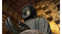 Nara Afternoon Tour from Kyoto or Osaka