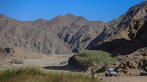 Remote and Scenic Half Day Guided Trek in Wadi Naeba