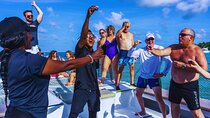 Punta Cana Private Catamaran Spring Break Party, Snorkel & BBQ