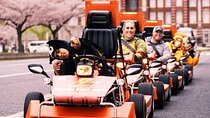 Official Street Go-Kart Tour - Akihabara