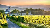 Wine along the Rhein - Christmas Market & Wine Tour from Mainz