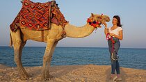 Camel Ride Swimming 3 Hours Red Sea with Transfer - Hurghada