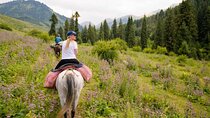 Small Group Horseback Riding in Chon Kemin National Park