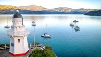 Akaroa Day Tour from christchurch Return