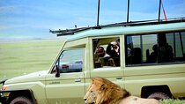 Experience Tanzania and Zanzibar with 15 Days Private Tour