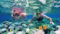 Bali Snorkeling at Blue Lagoon and Tanjung Jepun with Transfer