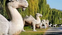 All Inclusive Private Beijing Tour: Ming Tombs, Sacred Way and Summer Palace