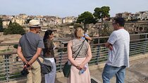 Ancient Herculaneum Private Guided Tour with Phd Archeologist
