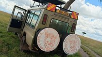 3 Days 2 Nights Masai Mara Private Jeep Safari