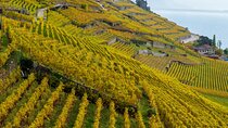 Lavaux Wine and Vineyard Experience with Boat Cruise