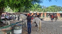 Quilombo Visit with Horse Backriding in Beach and Waterfall Tour