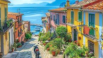Private day trip: Naples to Pompei, Sorrento,private local driver