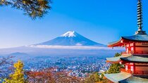Mount Fuji Full Day Customizable Private Tour with English Guide