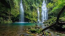 Private Sekumpul Waterfall and Northern Bali Full Day Tour