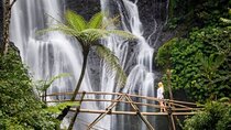 North Bali : Sekumpul and Banyumala Waterfall & Rice Terraces