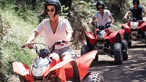 Quad Biking, Koalas and Kangaroos - Private Tour