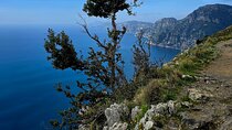 Private Tour of the Path of the Gods Amalfi Coast