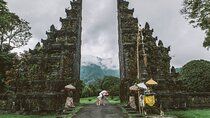 Ultimate Bali | Privately Guided Insta Tour with Driver / Guide