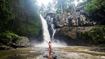 Ultimate Bali | Privately Guided Waterfalls with Driver / Guide