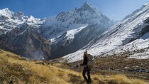 Annapurna Base Camp Trek from Pokhara and Kathmandu