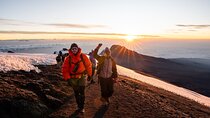 Climb Kilimanjaro via the Lemosho Route 