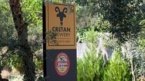 Cave and Cretan Brewery tour with lunch