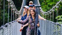 3 in 1 Combo: La Fortuna Waterfall, Hanging Bridges, Thermal Spa from San José