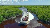 Everglades Airboat Experience – Wildlife & Wetlands