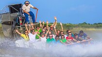 Everglades Airboat Experience – Wildlife & Wetlands