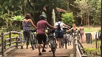 Ibirapuera Park Bike Tour 