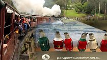 Melbourne: Private Puffing Billy Train & Phillip Island Tours