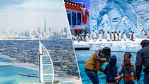Abu Dhabi City Tour with Sea World Tickets