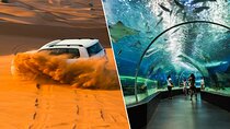 Combo Desert Safari & Dubai Aquarium &Underwater zoo Tickets Only