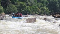 Kandy to Kithulgala Private Water Rafting Adventure 