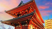 Tokyo Full Day Customize Private Tour with English Guide 