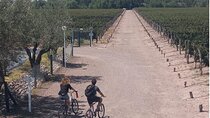 Self-guided bike tour of Maipu (Mendoza)